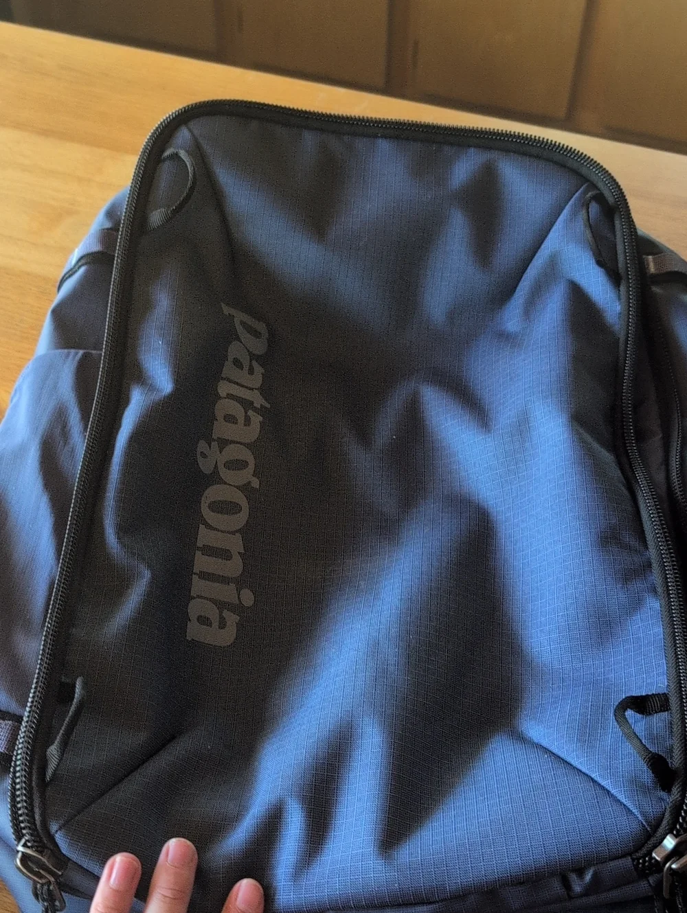 Patagonia Black Hole mini MLC Pack 30 L